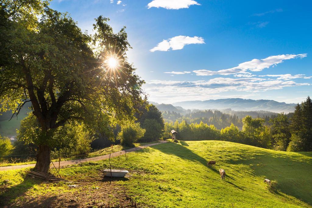 Eco Terme Snovik, Kamnik Letovišče Laze v Tuhinju
